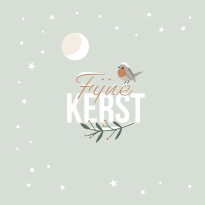 Kerstkaart roodborstje in de winter 2