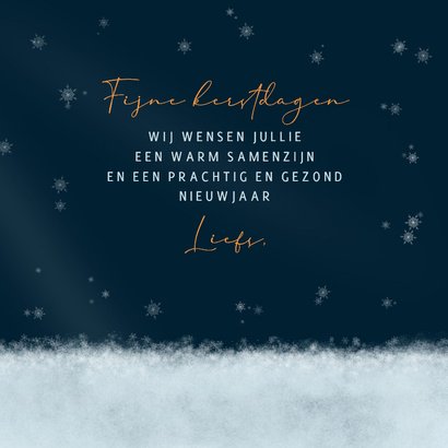 Kerstkaart roodborstje met muts op schaatsen 3