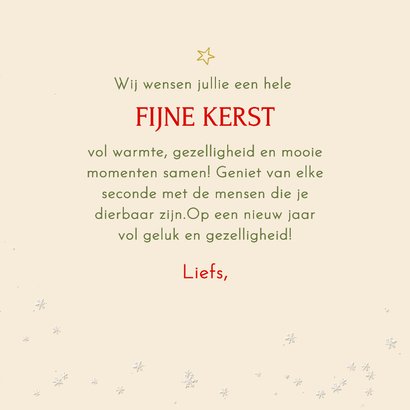 Kerstkaart roodborstje met strik 3