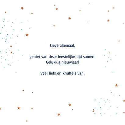 Kerstkaart roodborstje op donkerblauw met glitter 3