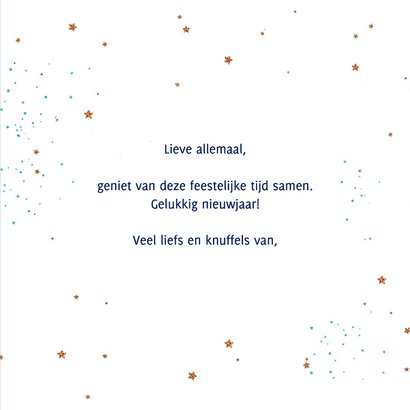 Kerstkaart roodborstje op donkerblauw met glitter 3
