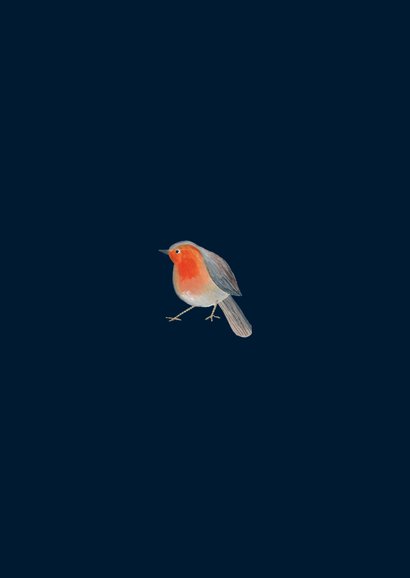Kerstkaart roodborstjes bij volle maan Achterkant