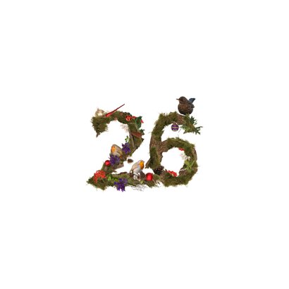 Kerstkaart roodborstjes en merel natuur 2026 Achterkant