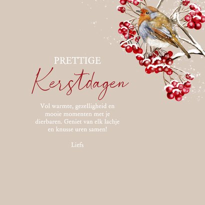 Kerstkaart roodborstjes in de winter op takjes 3