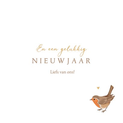 Kerstkaart roodborstjes liefdevol hartjes goud 3