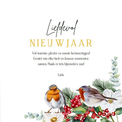 Kerstkaart roodborstjes op groen fluweellook 3