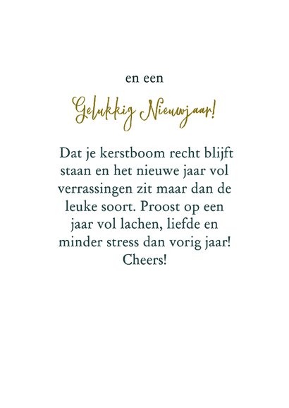 Kerstkaart samen op de fiets met boom verticaal 3