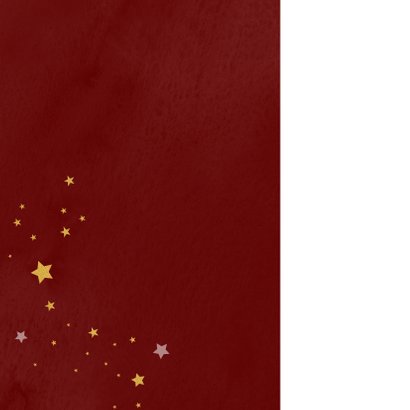 Kerstkaart Samen werken aan een mooi 2021 2