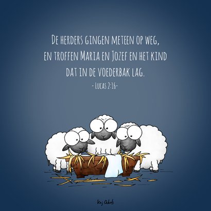 Kerstkaart schapen bij de kribbe - De bèèèèèste wensen! 2