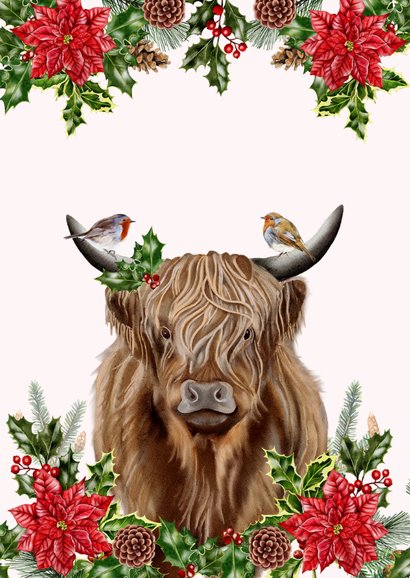 Kerstkaart schotse hooglander met roodborstjes 2