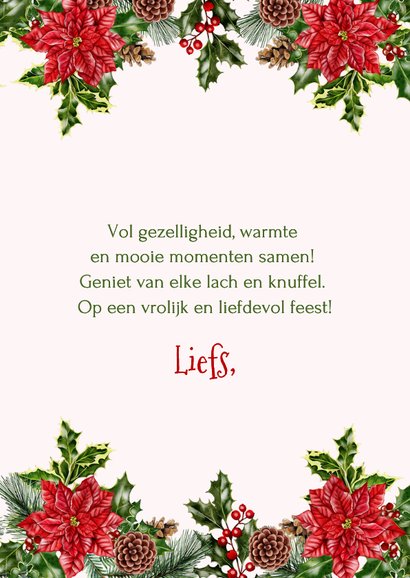 Kerstkaart schotse hooglander met roodborstjes 3