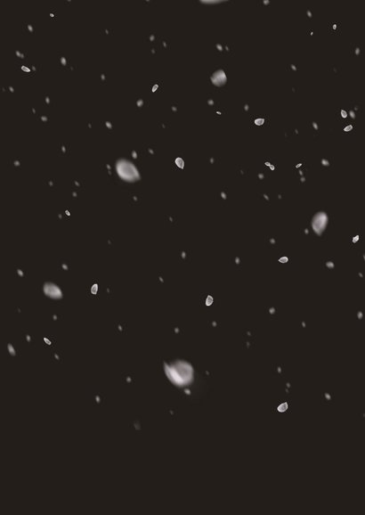Kerstkaart sneeuweffect over de foto 2