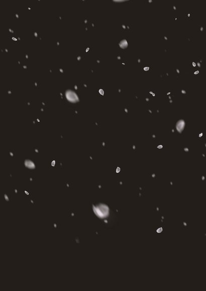 Kerstkaart sneeuweffect over de foto 2