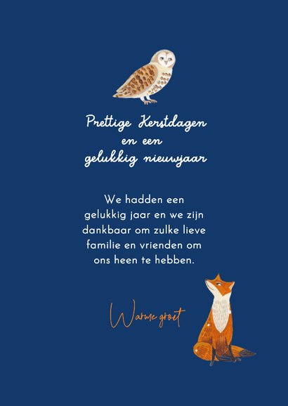 Kerstkaart sneeuwkoningin in het dieren bos 3