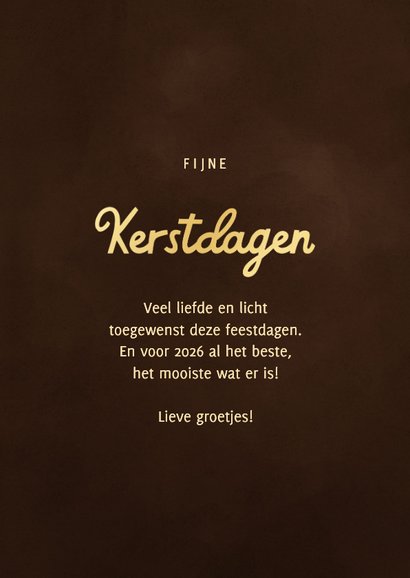 Kerstkaart sprankelend hert met roodborstje fijne kerstdagen 3