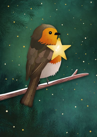 Kerstkaart sterkte lichtpuntje ster met roodborstje 2