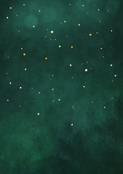 Kerstkaart sterkte lichtpuntje ster met roodborstje Achterkant