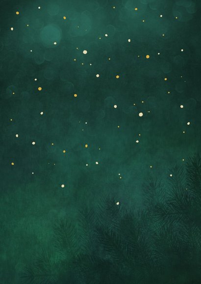 Kerstkaart sterkte lichtpuntje ster met roodborstje Achterkant