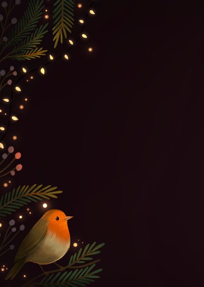 Kerstkaart twee roodborstjes met kerstlampjes 2