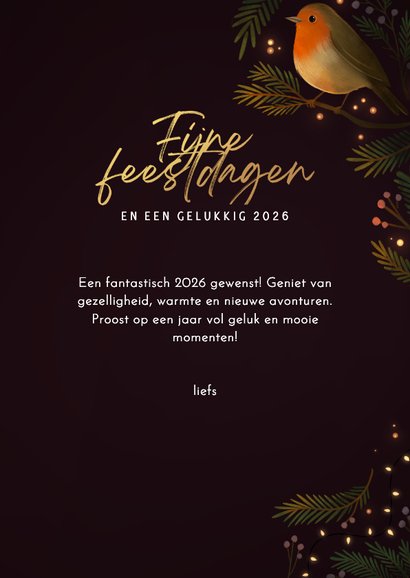 Kerstkaart twee roodborstjes met kerstlampjes 3