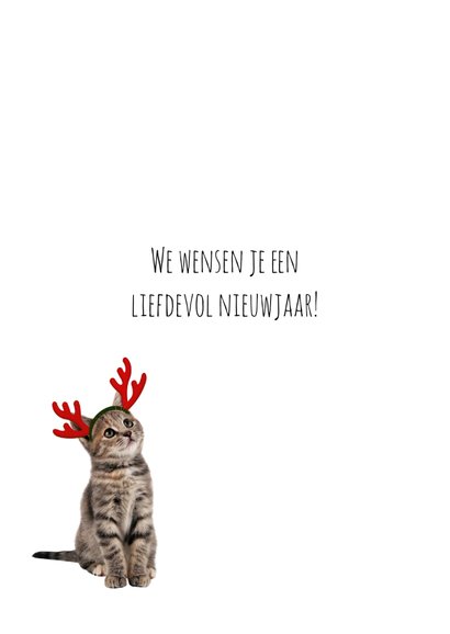 Kerstkaart van een poesje met fotolijst 3