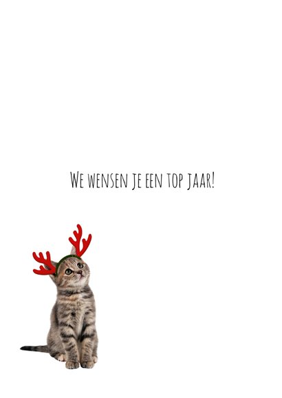 Kerstkaart van een poesje met fotolijst 3