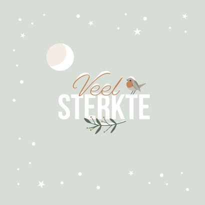 Kerstkaart 'Veel sterkte' roodborstje in de sneeuw 2