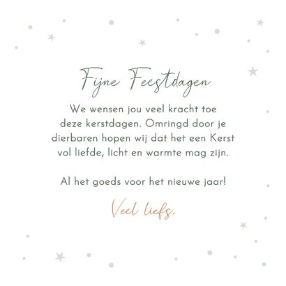 Kerstkaart 'Veel sterkte' roodborstje in de sneeuw 3