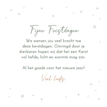 Kerstkaart 'Veel sterkte' roodborstje in de sneeuw 3