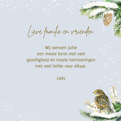 Kerstkaart vogels op takjes winter 3