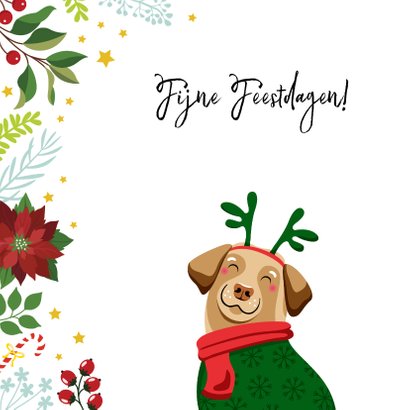 Kerstkaart vrolijke hond en kerststerren 2