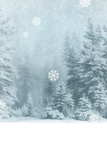 Kerstkaart winters landschap foto sneeuwvlokken dennenbomen Achterkant