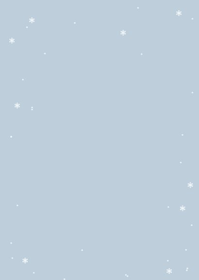 Kerstkaart winters roodborstje met kerstgroen Achterkant