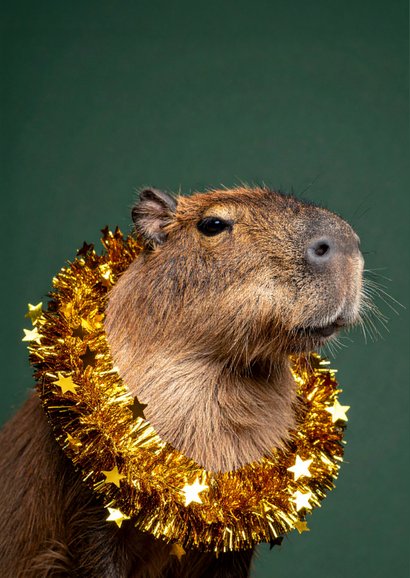 Kerstkaartje grappig met capibara donkergroen 2