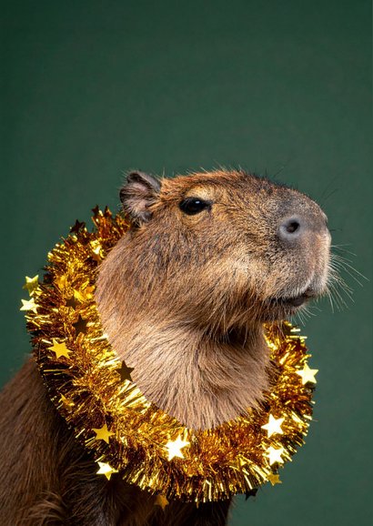 Kerstkaartje grappig met capibara donkergroen 2