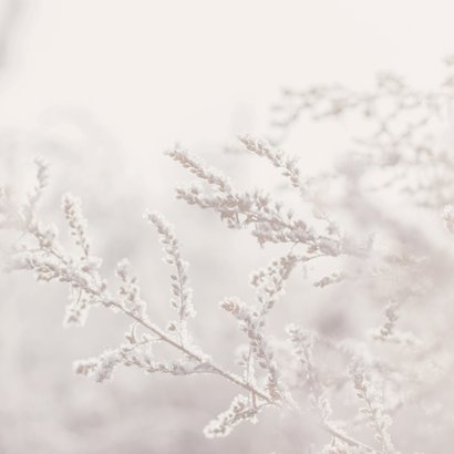 Kerstkaartje kerstknuffel met winterfoto takjes paars 2