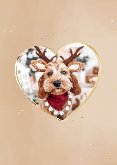 Kerstkaartje met takjes en hart met foto 2