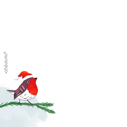 Kerstkaartje roodborstje met kerstmuts en dennentak 2