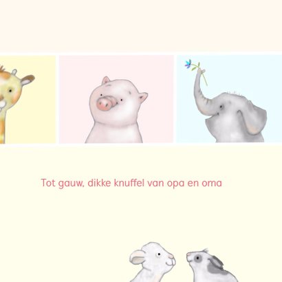Kinder - kleine diertjes 3