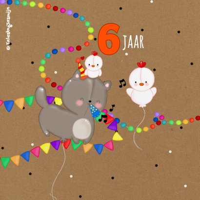 Kinderfeest Birthday Birdies 2