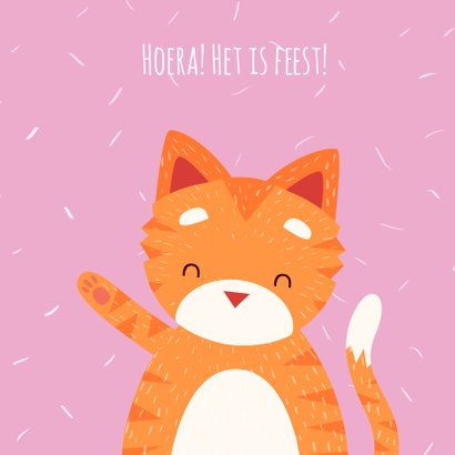 Kinderfeestje Knuffelkat met foto 2