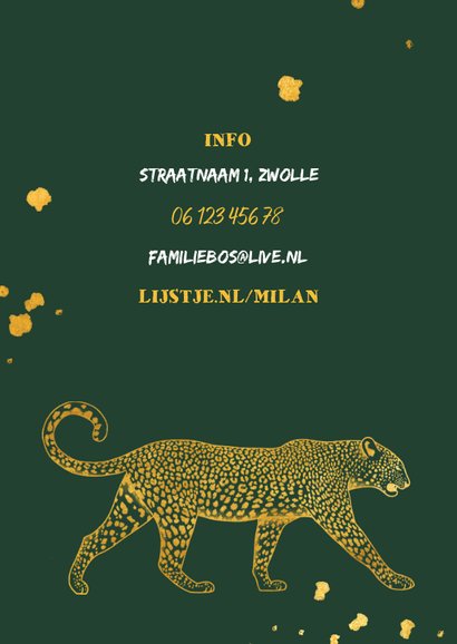 Kinderfeestje leopard goudlook met foto en spetters 2