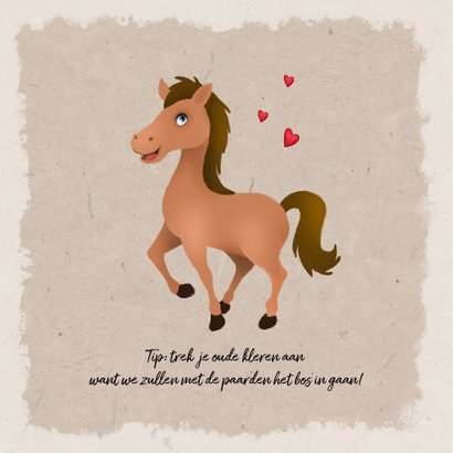 Kinderfeestje meisje thema paarden 2