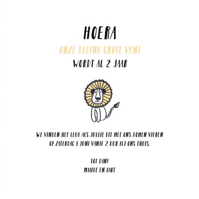 Kinderfeestje stoere leeuw 3