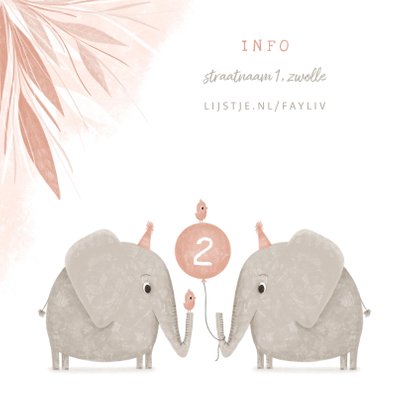 Kinderfeestje tweeling olifant met vogeltjes en ballon 2