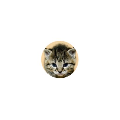 Kinderkaart, schattig poesje 2