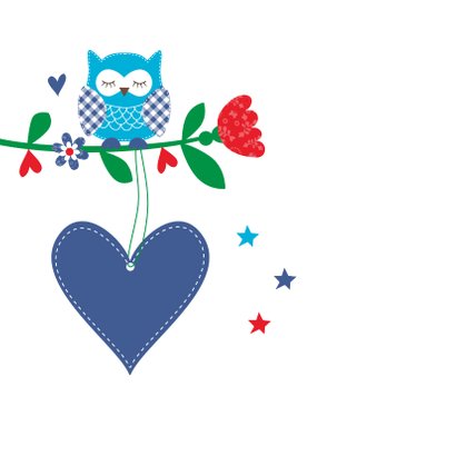 Kinderkaart uiltjes blauw jongen 2