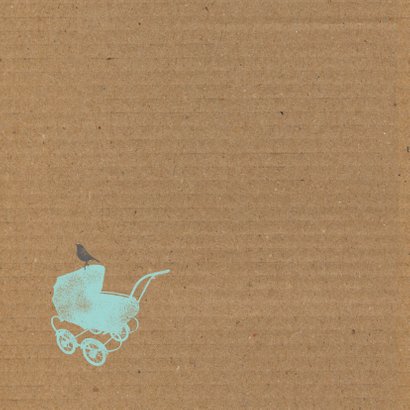 Kinderwagen, karton jongen 2