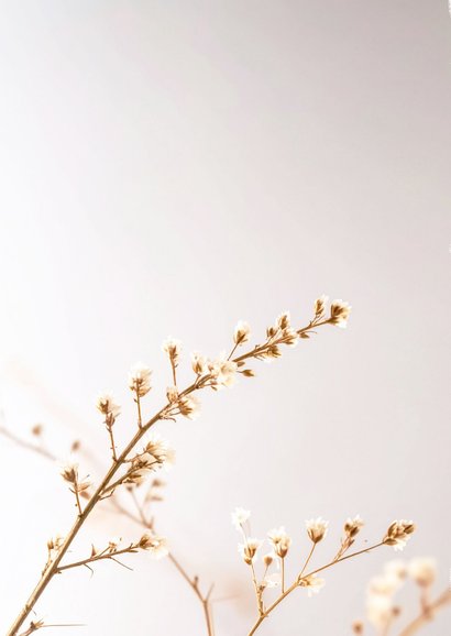 Klassiek condoleancekaart met subtiel takje gecondoleerd 2