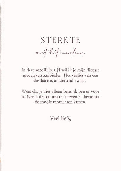 Klassiek condoleancekaart met subtiel takje gecondoleerd 3